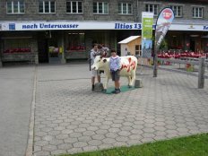 Bild aus dem Anlass: Genossenschaftstag