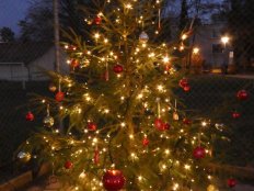 Bild aus dem Anlass: Samichlaus