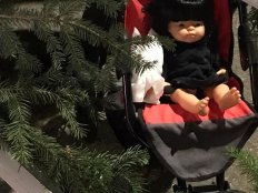 Bild aus dem Anlass: Samichlaus